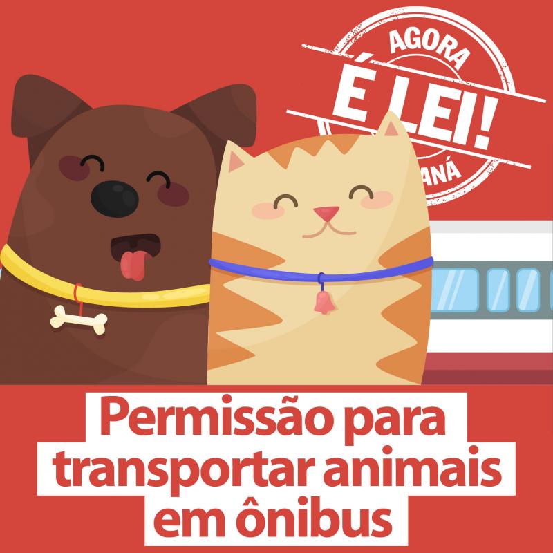 clique e saiba mais