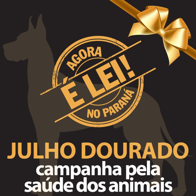 clique e saiba mais